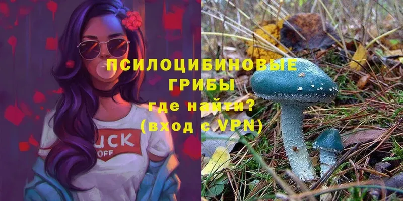 Галлюциногенные грибы MAGIC MUSHROOMS  это телеграм  Нижняя Тура  дарнет шоп 